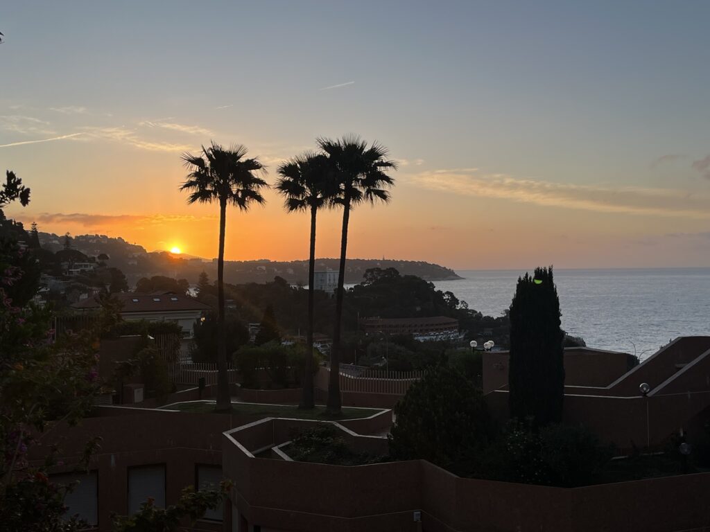 DÉMOGRAPHIE – « Un enfant = un arbre » : Monaco prépare sa climatisation naturelle pour 2084